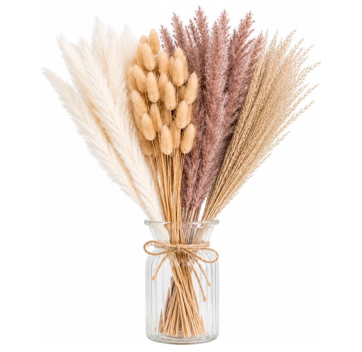 Dried Pampas Grass  100 Stems