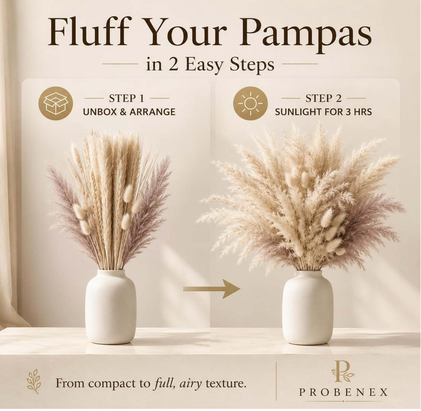 Dried Pampas Grass  100 Stems