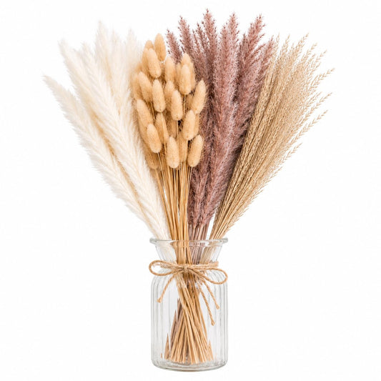 Dried pampas grass 100 stems - product