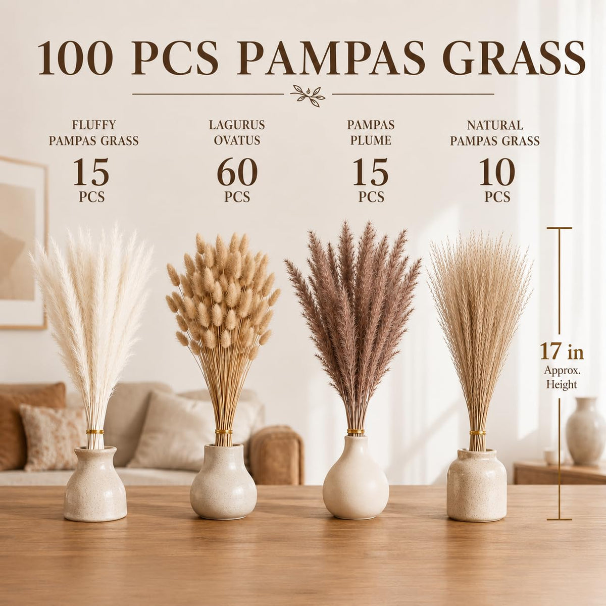 Pampas — PT01