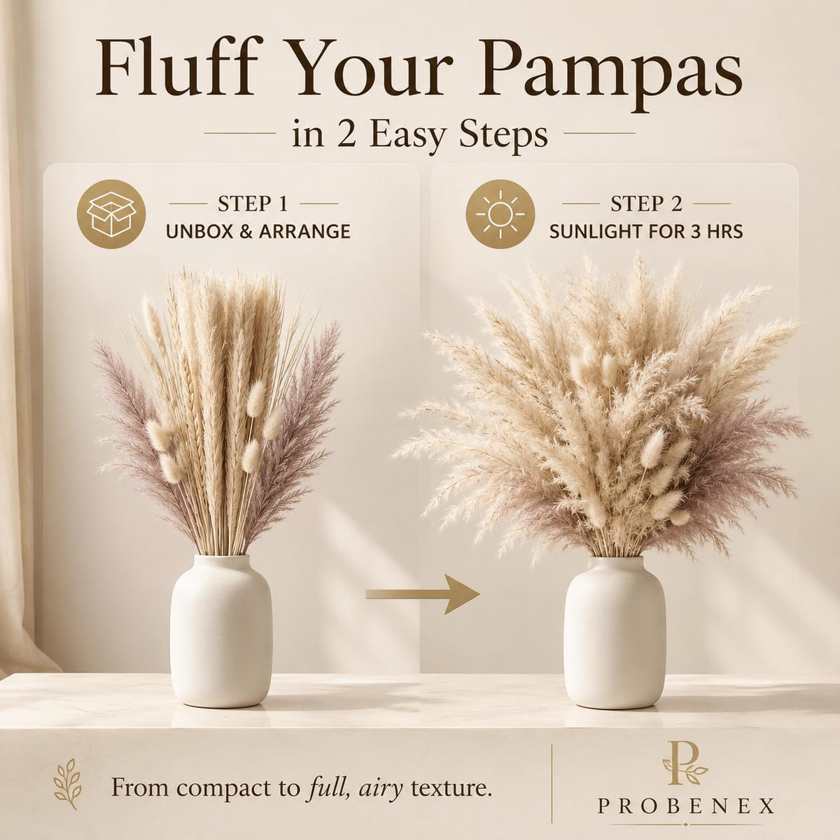 Pampas — PT06